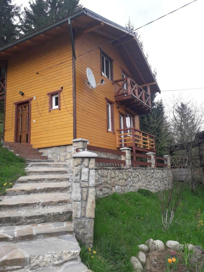 Смериковий Yaremche Exterior foto