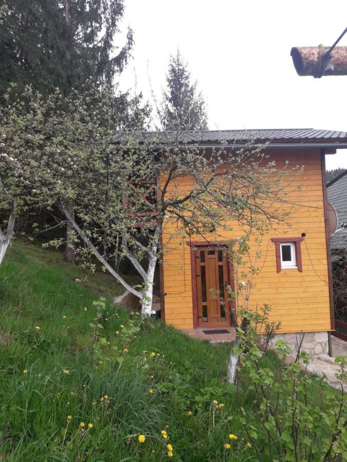 Смериковий Yaremche Exterior foto